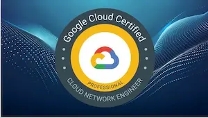 Udemy-Professional Cloud Network Engineer-問題集-1